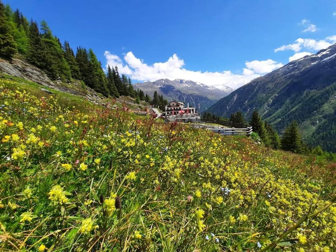 Alpengasthof Gaislach Alm Hotel Sölden Eksteriør billede